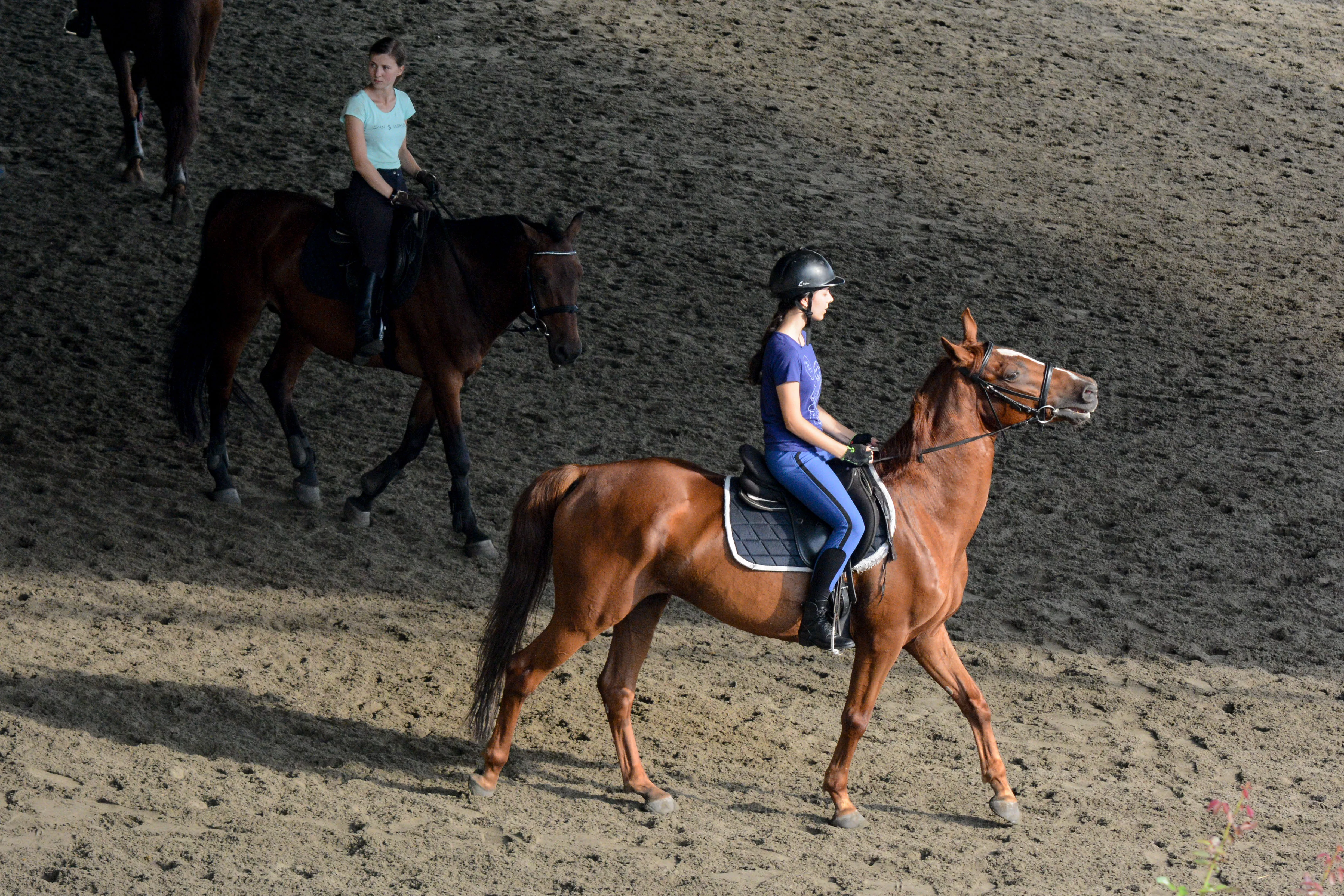 PSV_4264.jpg PSV_4264.jpg