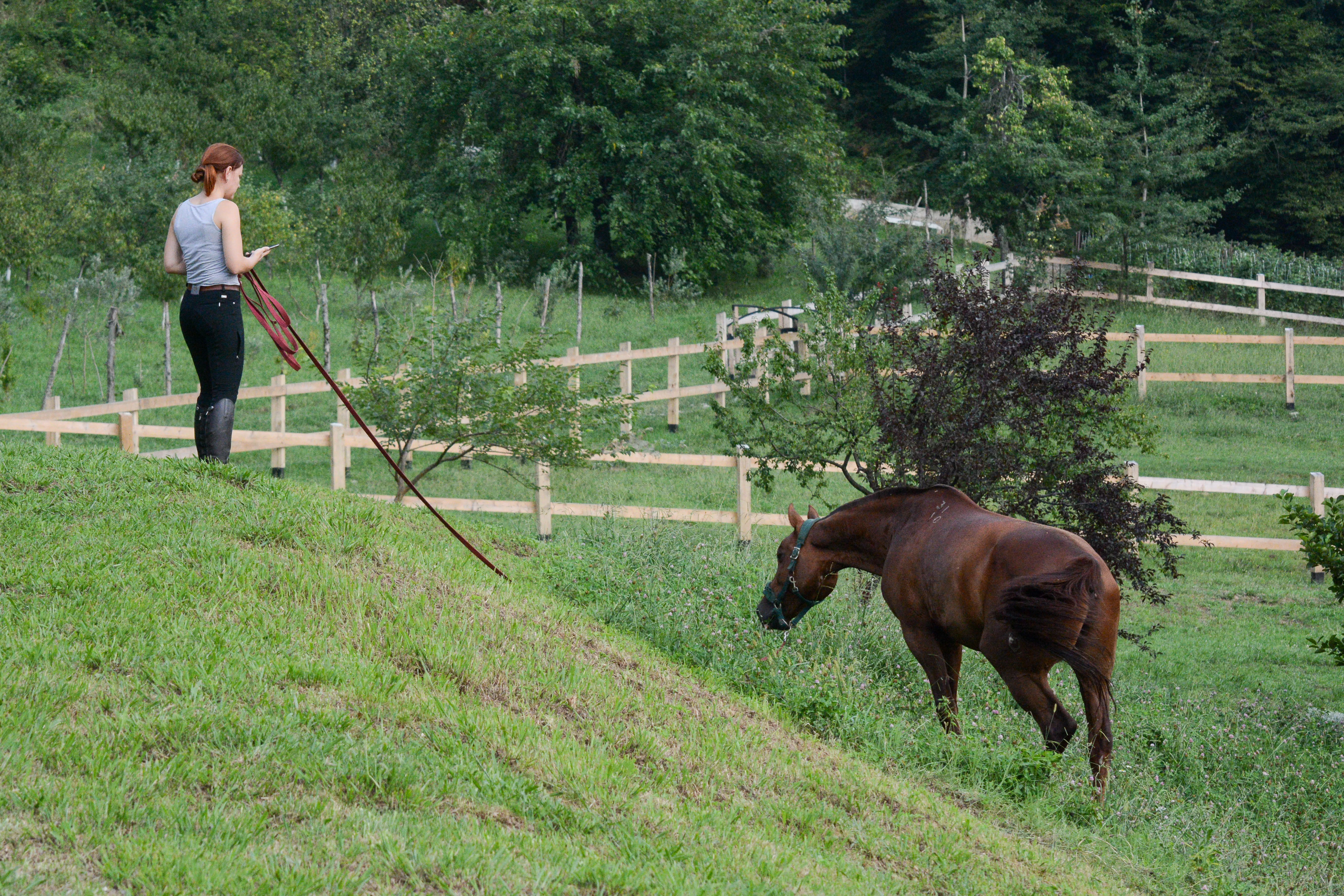 PSV_4359.jpg PSV_4359.jpg