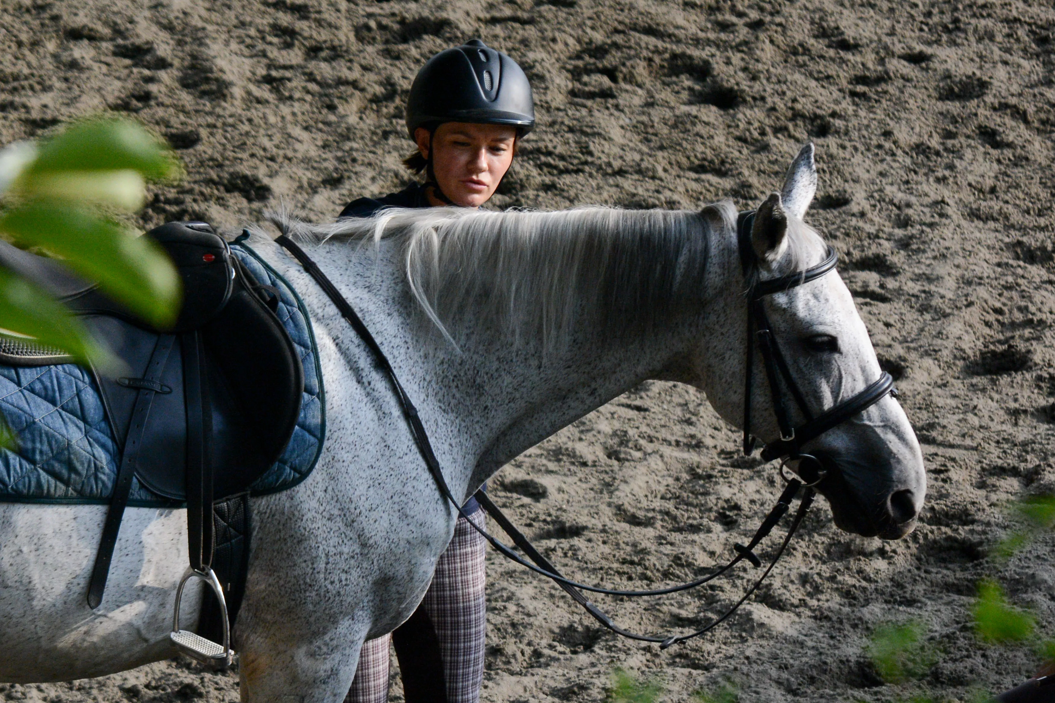 PSV_4273.jpg PSV_4273.jpg