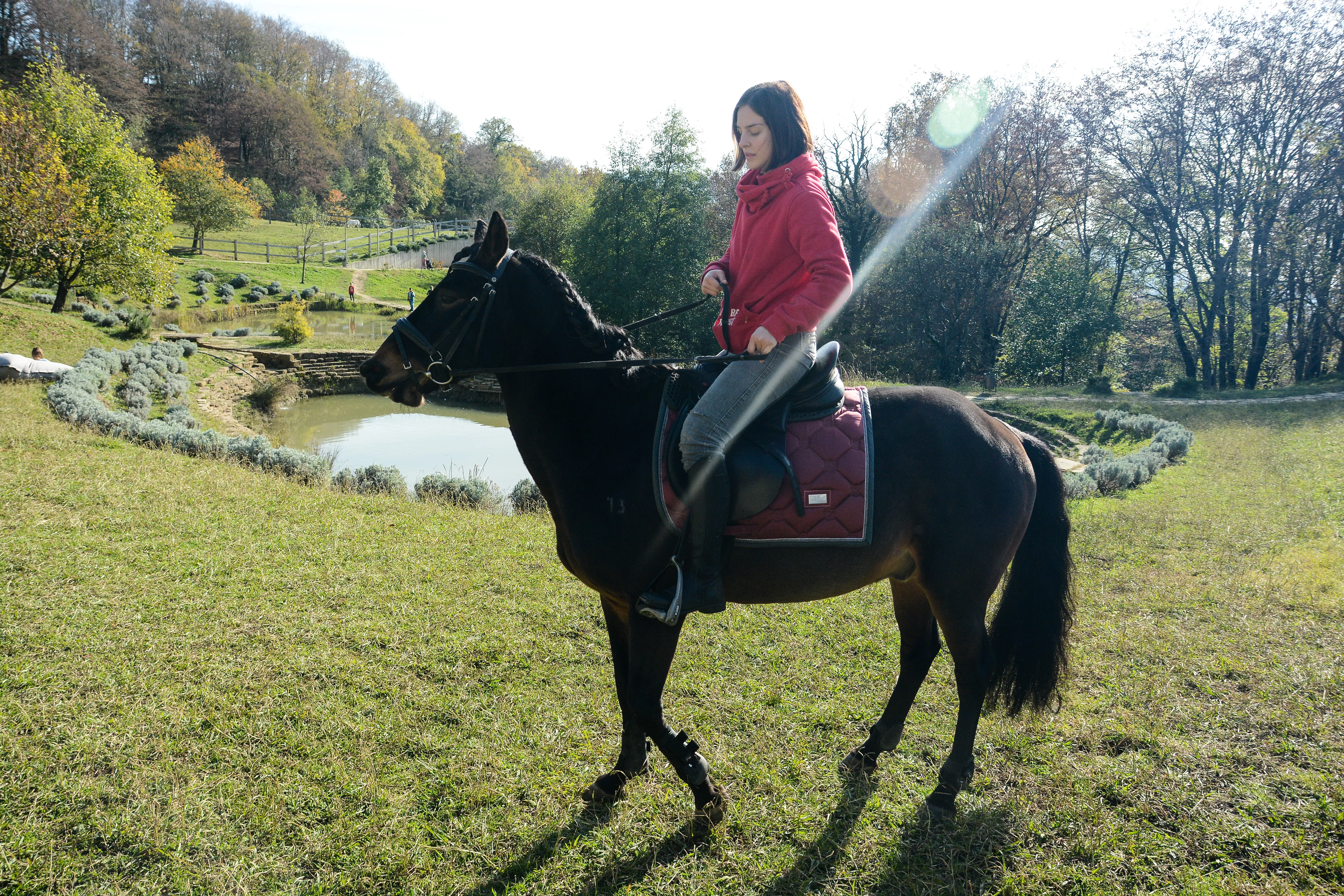 PSV_7290.jpg PSV_7290.jpg