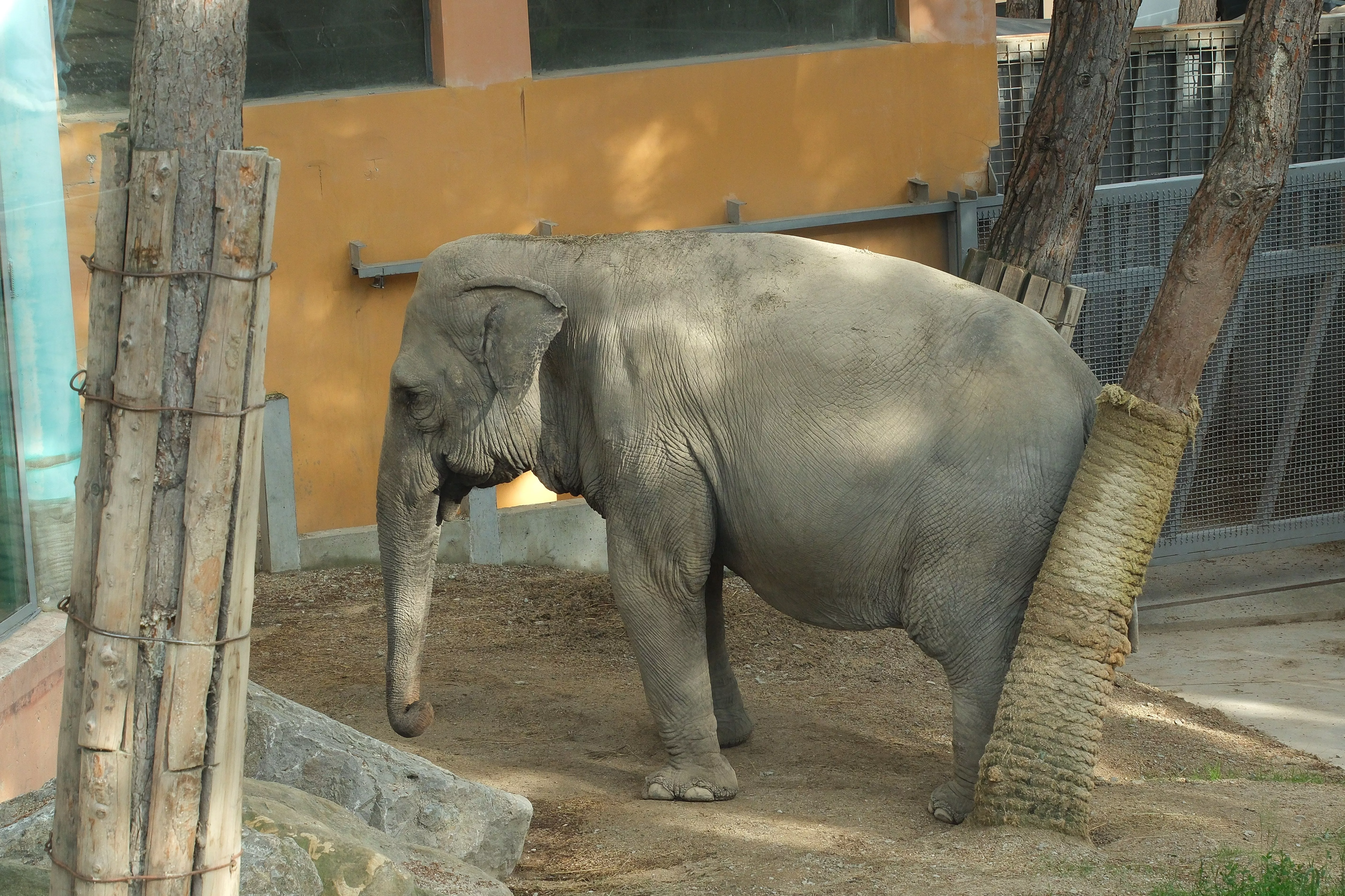 Ступин (306 of 333).jpg