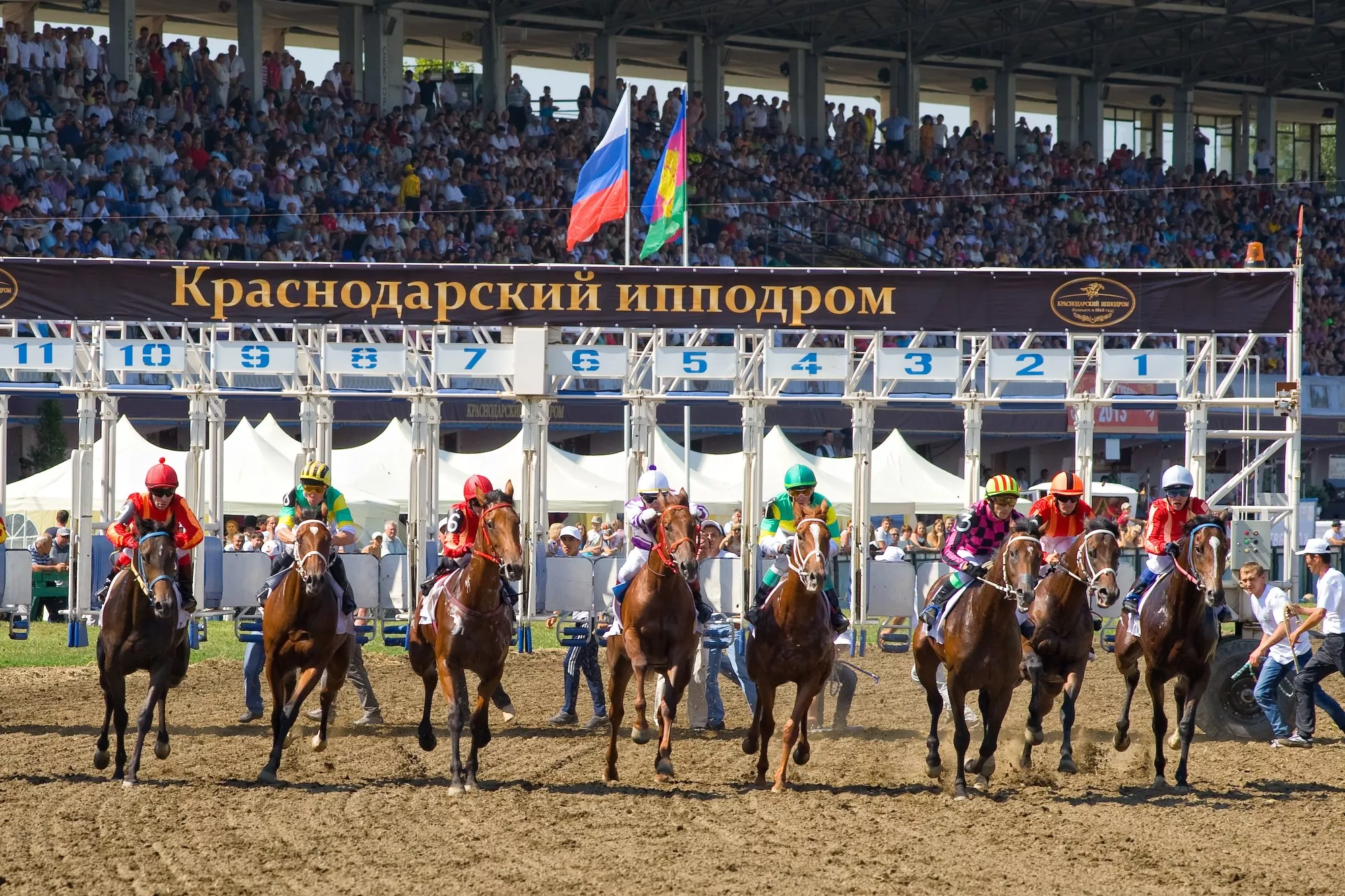 Семенец скачки кони лошади ипподром (2).jpg Семенец скачки кони лошади ипподром (2).jpg