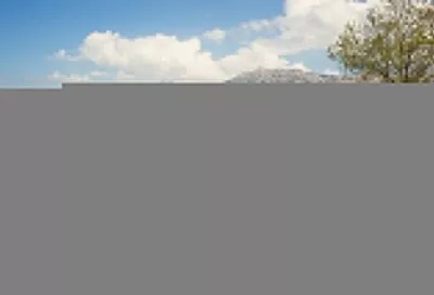 Народные приметы на сегодня – 23 апреля, что можно и нельзя делать в день Терентия Маревного