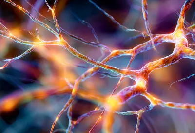 Как улучшить память: советы от Татьяны Черниговской, которые работают