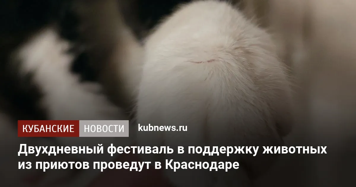 Двухдневный фестиваль в поддержку животных из приютов проведут в Краснодаре