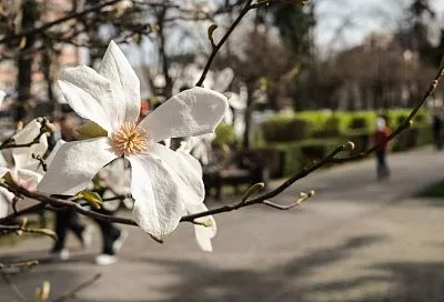 Стало известно, когда прекратятся дожди и потеплеет до +21 градуса в Краснодарском крае