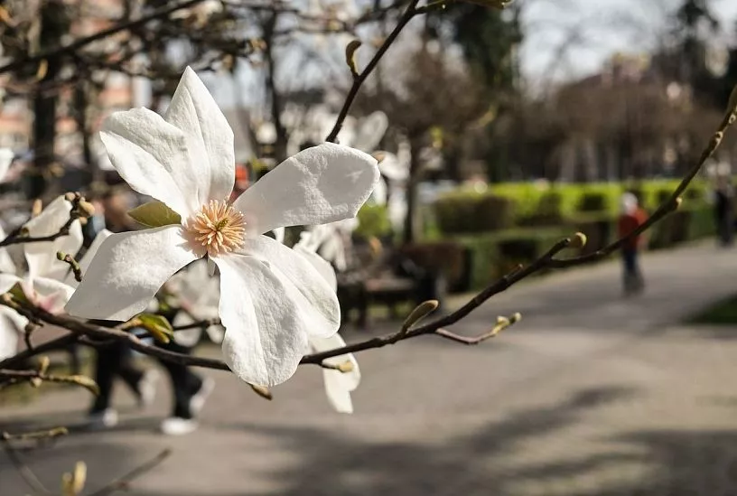 Стало известно, когда прекратятся дожди и потеплеет до +21 градуса в Краснодарском крае
