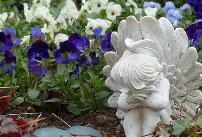 Ирисы вместо роз: какие цветы посадить на кладбище по церковным канонам