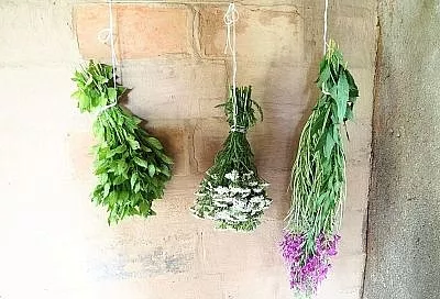 Собрала дома коллекцию трав, которые делают чай вкуснее, а здоровье - крепче