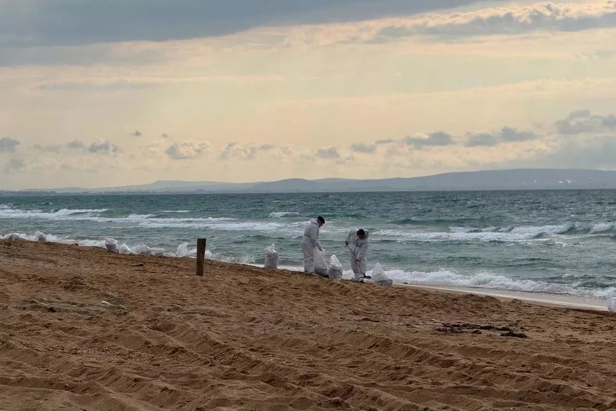 Глава МЧС России приехал в Анапу для контроля работ по ликвидации ЧС с мазутом