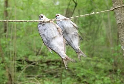 Тарань: что за деликатес такой, почему так популярен в черноморской кухне и чем радует любителей пикантных закусок