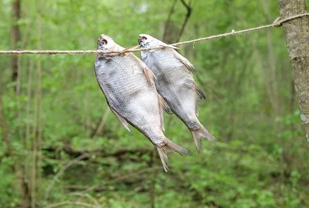 Тарань: что за деликатес такой, почему так популярен в черноморской кухне и чем радует любителей пикантных закусок