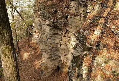 Природный заказник «Лабинский» получил статус особо охраняемой природной территории