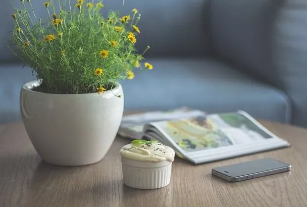 Пять проверенных способов уничтожить мошек в цветах за один день