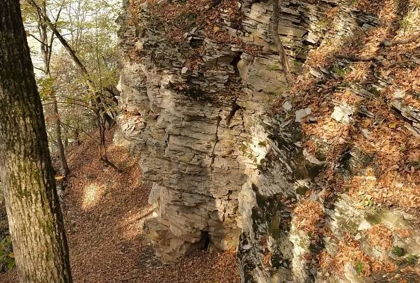 Природный заказник «Лабинский» получил статус особо охраняемой природной территории