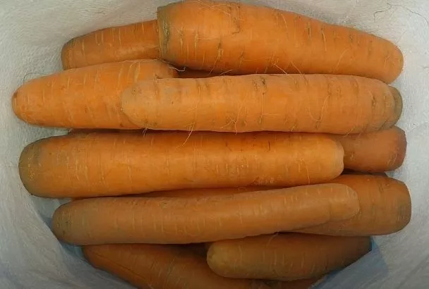 Вырастил морковь как с обложки: секрет грядки без сорняков и кривых корнеплодов: сделал раз – и сажай 3-4 года