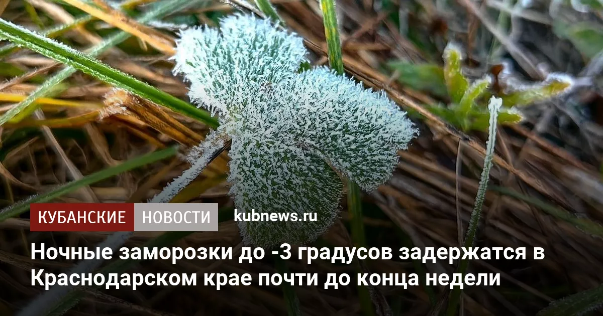 Ночные заморозки до -3 градусов задержатся в Краснодарском крае почти до конца недели