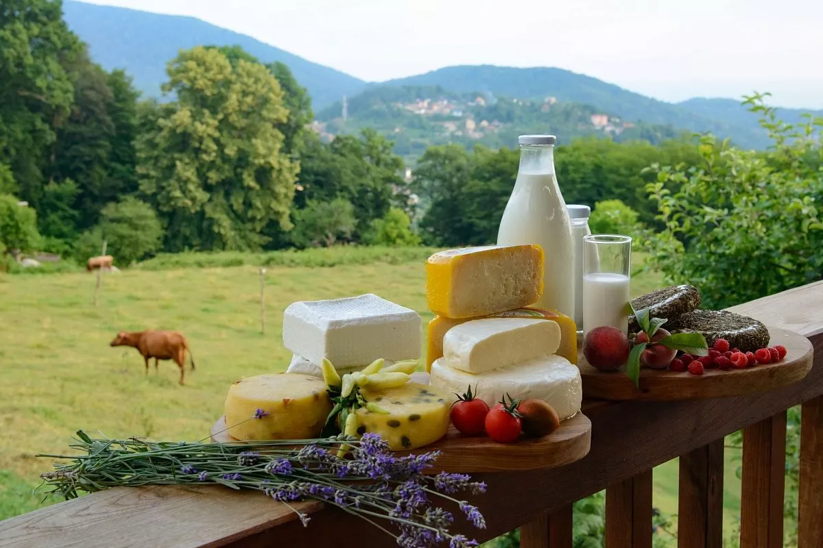 Сегодня на экоферме Экзархо с удовольствием встречают туристов со всех уголков мира. Сегодня на экоферме Экзархо с удовольствием встречают туристов со всех уголков мира.