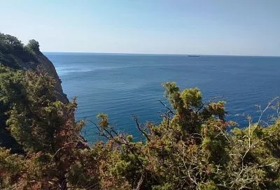 Генеральная «уборка». Как властям Краснодарского края удалось очистить побережье от самостроев