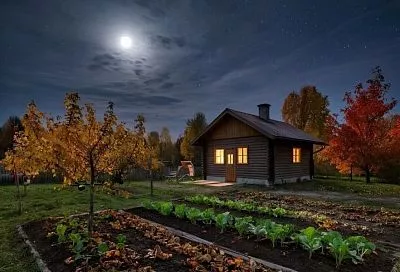 Лунный календарь садовода с 25 – 31 октября: какие работы в саду принесут результат, а какие пойдут во вред