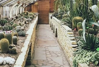 Подкинул бетон под грядки так – и теперь стоя собираю с них обильный урожай, а раньше зря гнул спину 