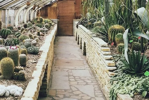 Подкинул бетон под грядки так – и теперь стоя собираю с них обильный урожай, а раньше зря гнул спину 