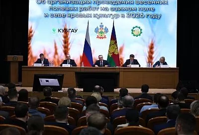 Вениамин Кондратьев: «По оценкам ученых состояние озимых полей в Краснодарском крае хорошее»