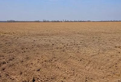 Половина Англии оказалась в зоне засухи из-за аномальной жары