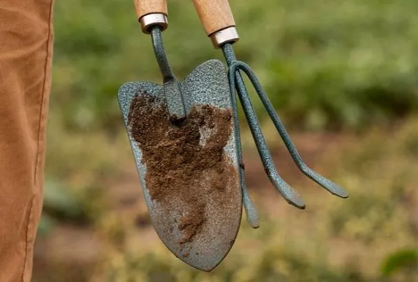 Прошелся граблями – и почва готова к севу и посадке! А раньше копал лопатой и надрывался: начните рыхлить землю так