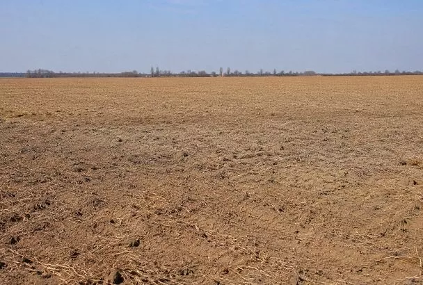 Половина Англии оказалась в зоне засухи из-за аномальной жары