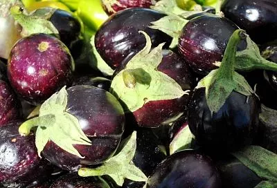 Баклажаны по-корейски быстрого приготовления: пикантная закуска за минуты