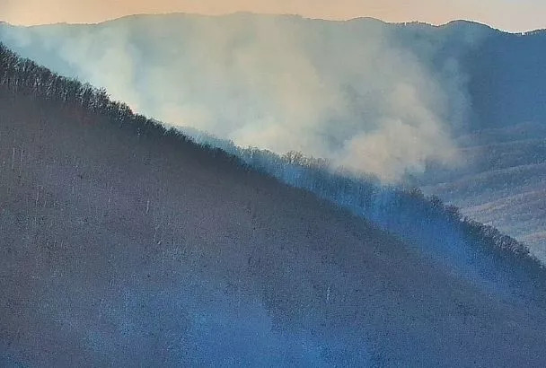 В Туапсинском округе горит лес