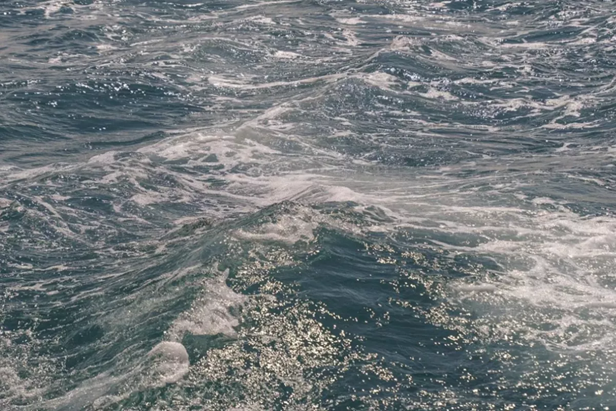 Два безэкипажных катера ВСУ уничтожены за сутки в акватории Черного моря