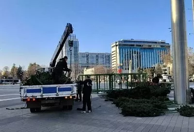В Краснодаре на Главной городской площади начали устанавливать новогоднюю елку