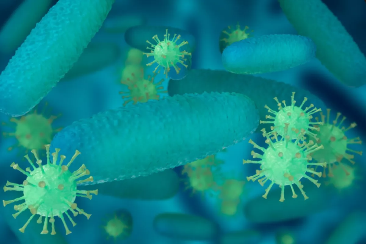 Ученые призвали отказаться от бактерицидов в быту ради сдерживания супербактерий