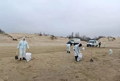 Старые выбросы мазута обнаружили после шторма на пляжах Анапы и Темрюкского района