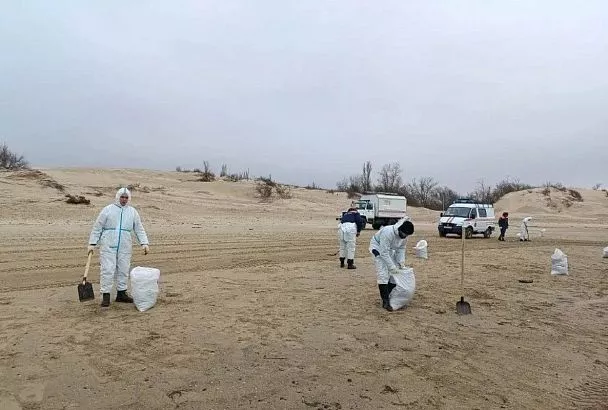 Старые выбросы мазута обнаружили после шторма на пляжах Анапы и Темрюкского района