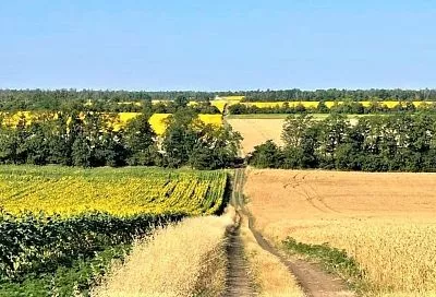 С 1 сентября 2025 года на Кубани запретят образовывать садовые участки на землях сельхозназначения