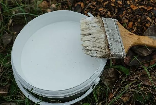 Белить или не белить: нужно ли покрывать известью лозу винограда