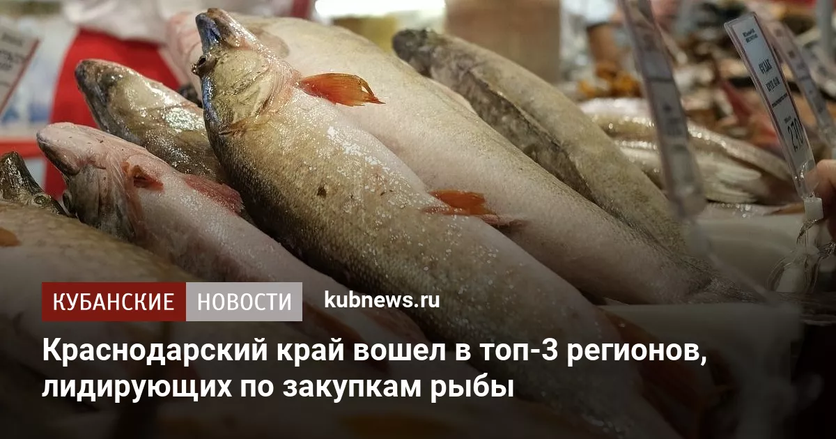 Краснодарский край вошел в топ-3 регионов, лидирующих по закупкам рыбы