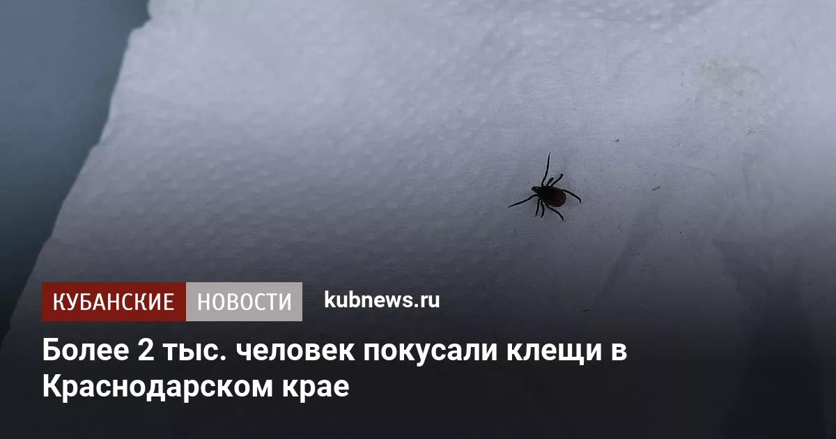 Более 2 тыс. человек покусали клещи в Краснодарском крае