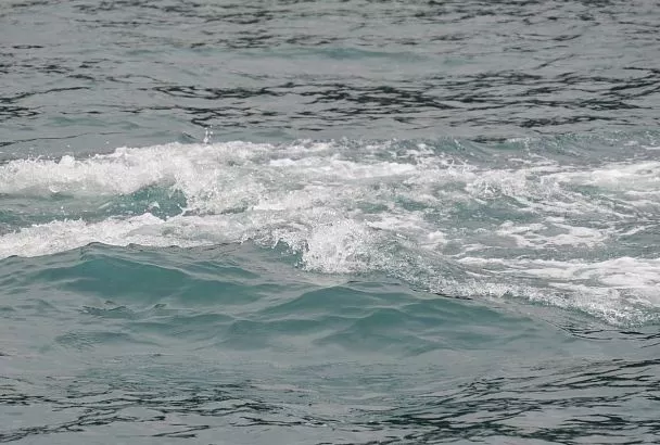 В Краснодарском крае за полгода утонули 12 детей