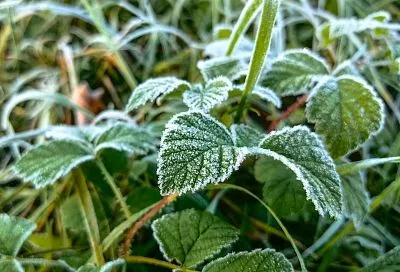 От -4,2 до +28,6 градуса: синоптики рассказали об экстремальной погоде на Кубани 1 апреля в разные годы