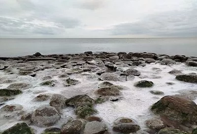 До +1 градуса остыло Азовское море у берегов Краснодарского края