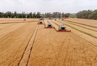 Жатва близко: на Кубани обсудили готовность сельхозтехники к уборке озимых зерновых