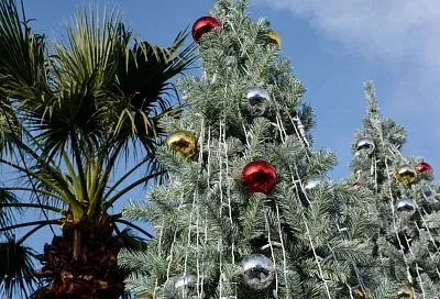 Краснодарский край стал лидером по бронированию новогодних туров