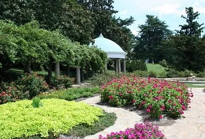 Когда браться за секатор? Осенняя обрезка садовых цветов: шпаргалка для разных регионов России.