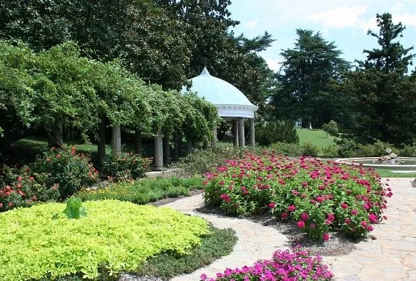 Когда браться за секатор? Осенняя обрезка садовых цветов: шпаргалка для разных регионов России.