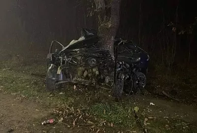Иномарку «размотало» об дерево на Кубани. Один человек погиб, двое в больнице