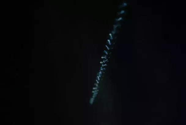 ВСУ вновь пытались ударить беспилотниками по компрессорной станции «Турецкого потока» в Краснодарском крае